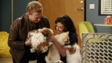 Анатомия страсти 12 сезон 14 серия