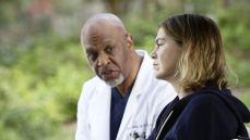 Анатомия страсти 12 сезон 9 серия